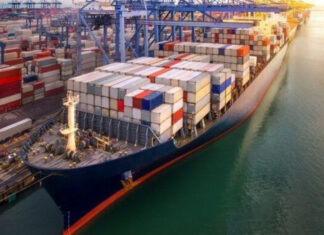 DGA refuerza seguridad nacional con nuevo sistema digital para envíos mudanceras o shipping