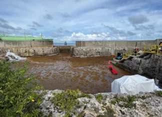 Sargazo afecta operación en planta AES Andrés