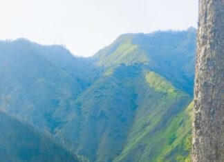 Aventura verde: mochileando el corazón montañoso de RD