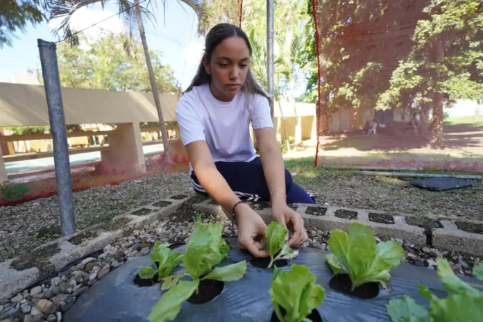 INABIE promueve conciencia ambiental a estudiantes a través de huertos escolares