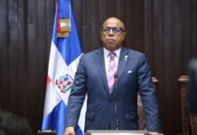 Pacheco rechaza despidos de dirigentes del PRM