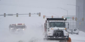 Inusual nevada cubre Florida tras una intensa ola de frío en Estados Unidos