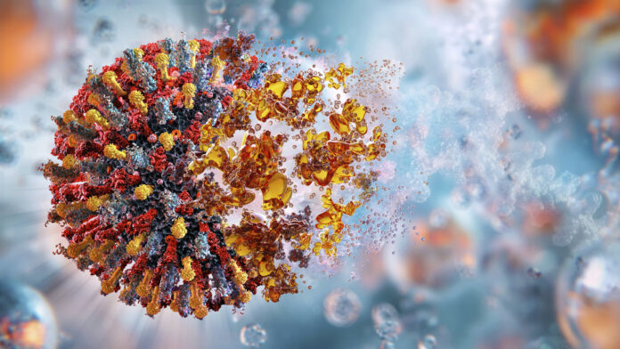 Envían virus al espacio y vuelven con 'armas' resistentes contra bacterias