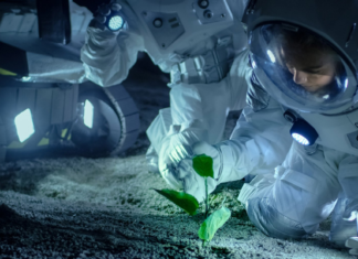 NASA ofrece 750.000 dólares por un sistema para alimentar colonos en Marte