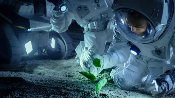 NASA ofrece 750.000 dólares por un sistema para alimentar colonos en Marte