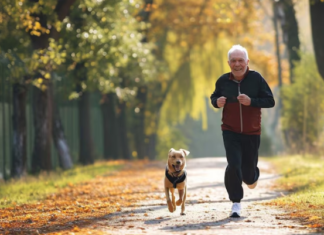La convivencia social y con animales mejoran el microbioma intestinal en los mayores de 60 años