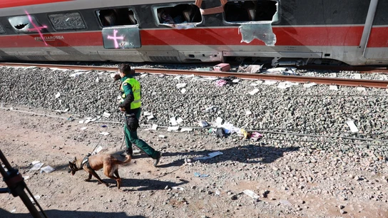 Elevan a 43 los muertos en el accidente ferroviario en el sur de España