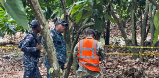 Investigan hallazgo de posible evidencia en caso Brianna Genao