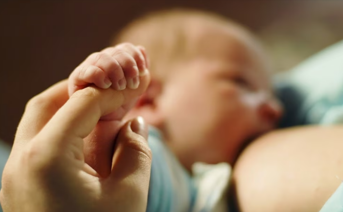 Cómo la leche materna ayuda a la estabilidad del microbioma intestinal infantil