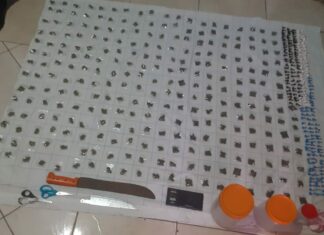 PN y DNCD incautan drogas y armas blancas en Puerto Plata