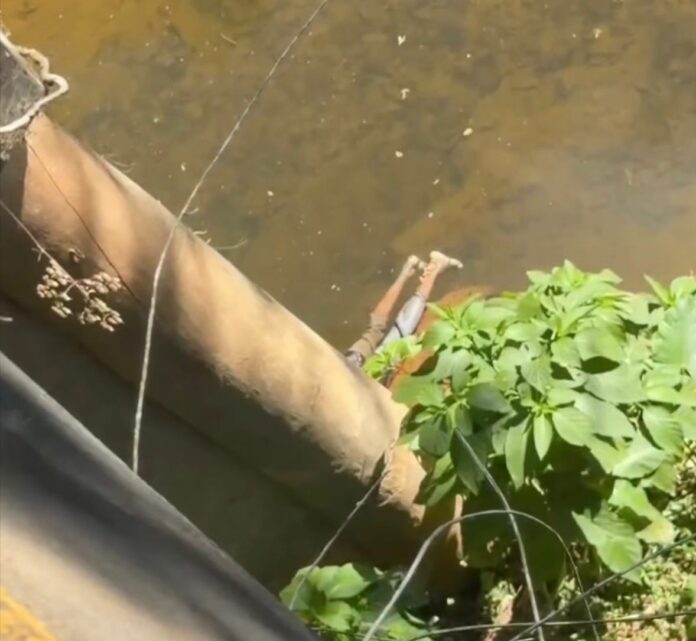Hallan cadáver de un hombre en río de La Cuaba en Peralvillo