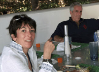 Instan a investigar conexiones de Epstein con la CIA