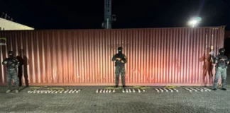 Ocupan 69 paquetes de presunta cocaína ocultos puerta pisos de un contenedor