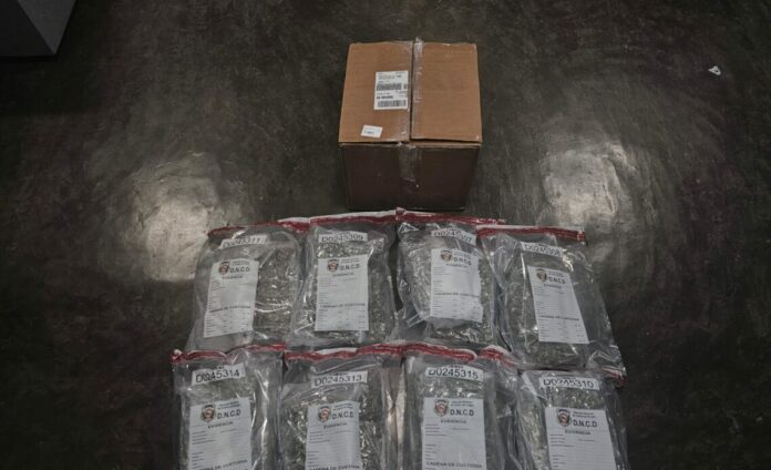 Incautan 15 paquetes de presunta marihuana en el AILA
