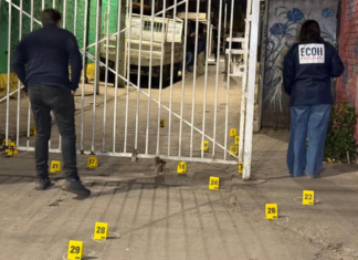Saca a pasear a su perro y muere baleado por enfrentamiento entre bandas