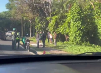 Hallan hombre muerto en acera del Jardín Botánico; autoridades investigan