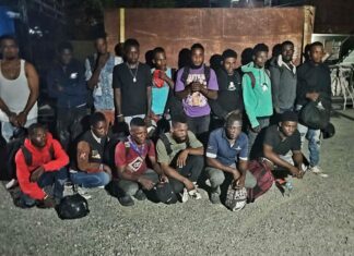 Detienen hombre que ocultaba 15 haitianos indocumentados en un camión cisterna en Navarrete