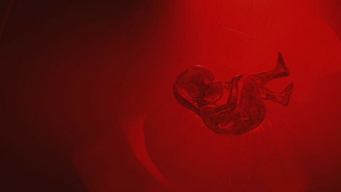 Crean máquina que podría dar inicio a la gestación fuera del cuerpo humano