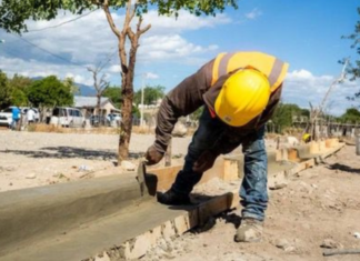 Mivhed inicia plan de rehabilitación del hábitat en Sabana Yegua, Azua