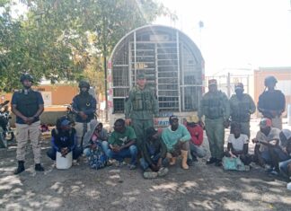 Detienen a 431 haitianos en condición irregular durante operativos simultáneos