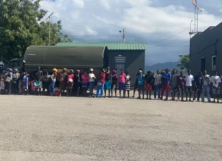 Detienen 66 haitianos con estatus migratorio irregular en operativos en Independencia y Bahoruco