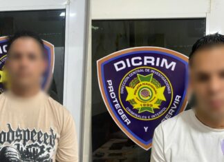 Arrestan cuatro personas y les ocupan dos armas de fuego ilegales y un vehículo
