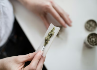 El consumo de cannabis y tabaco reduce el volumen cerebral, según nueva evidencia científica