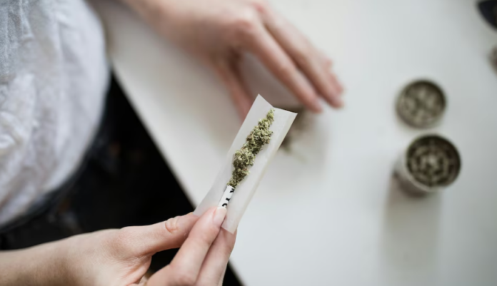 El consumo de cannabis y tabaco reduce el volumen cerebral, según nueva evidencia científica