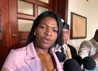 MP solicita siete años de prisión para Elizabeth Silverio en nuevo juicio
