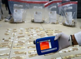 DNCD impide envío de 735 láminas de cocaína a España ocultas en cajas de cartón
