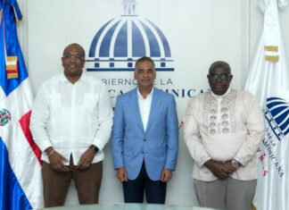 RD y Surinam exploran cooperación en hidrocarburos y fortalecen agenda energética bilateral