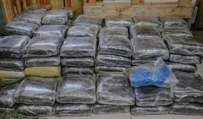 DNCD ocupa más de 600 libras de presunta marihuana tras allanamientos simultáneos