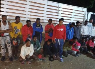 Ejército detiene hombre que ocultaba 24 haitianos indocumentados en un camión