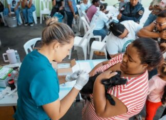 Alcaldía del DN esteriliza a 100 perros y gatos durante jornada de bienestar animal