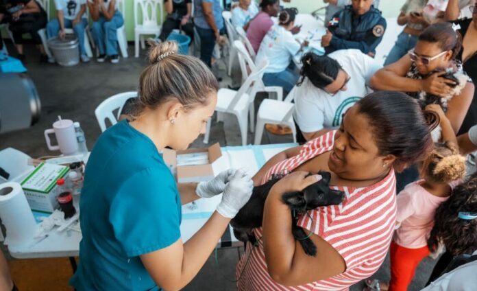 Alcaldía del DN esteriliza a 100 perros y gatos durante jornada de bienestar animal