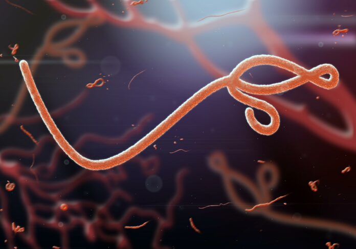 RD refuerza vigilancia epidemiológica ante alerta internacional por brote de ébola