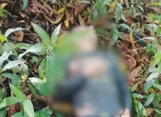 Hallan muerto a exregidor Elido Zapata tras ser reportado desaparecido en Dajabón
