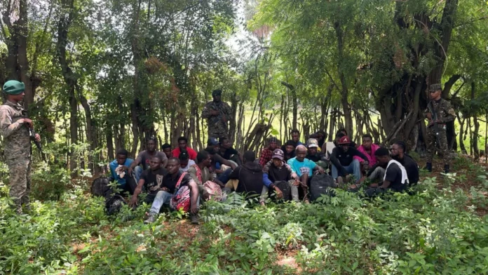 Detienen 26 haitianos indocumentados en bosque de Guayubín