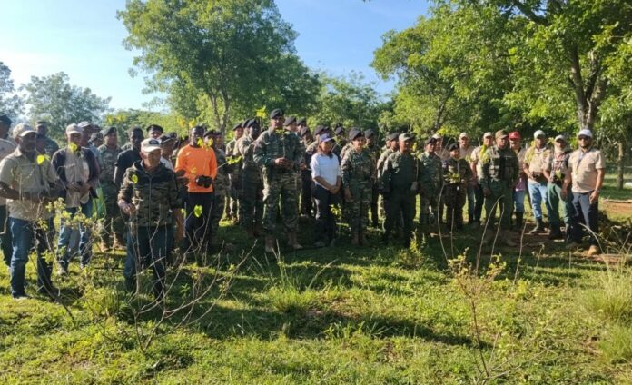 Medio Ambiente y Ejército realizan jornada de reforestación en Dajabón por el Día del Árbol