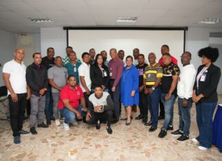 Energía y Minas crea primer equipo de inspectores de seguridad de mina de larimar