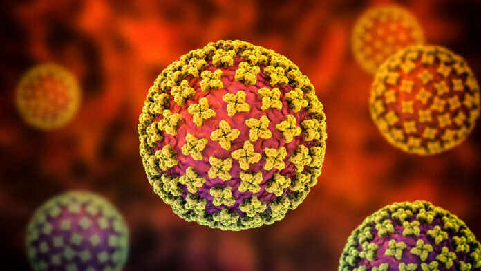 Lo que hay que saber sobre el hantavirus
