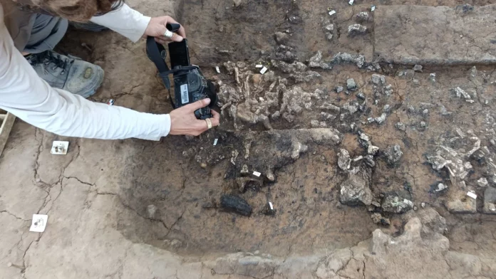 Descubren por casualidad un tesoro enterrado durante 2.000 años en Francia