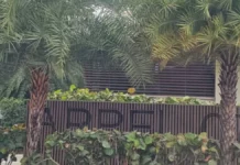 Fallecen dos personas en torre del Ensanche Piantini