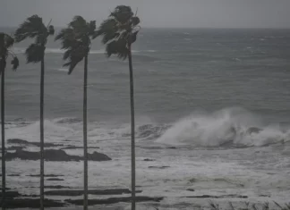 Se forma la tormenta tropical Cristina con estos 3 países latinoamericanos en la mira