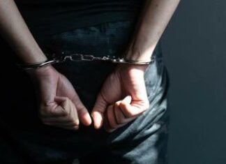 Arrestan a seis dominicanos en EE. UU. por presunto fraude millonario al programa SNAP