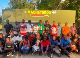 Ejército intercepta vehículo utilizado para el tráfico de migrantes y desmantela centro de acopio
