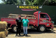 Ejército retiene camión cargado con 125 postes de cambrón ocultos entre pacas de paja