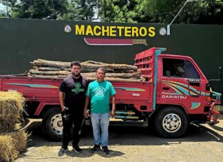 Ejército retiene camión cargado con 125 postes de cambrón ocultos entre pacas de paja