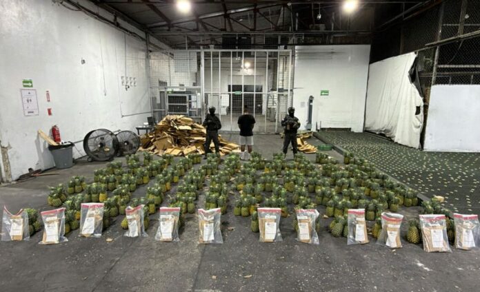 DNCD decomisa 121 láminas de presunta cocaína escondidas en cajas de piñas en el AILA