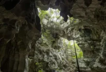 Abinader declara de utilidad pública terrenos del Monumento Natural Cuevas del Pomier
